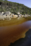 Tidal River, Wilsons Promontory N P