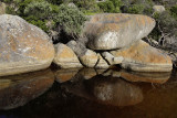 Tidal River, Wilsons Promontory N P