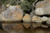 Tidal River, Wilsons Promontory N P