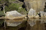 Tidal River, Wilsons Promontory N P