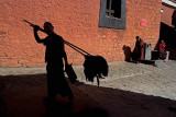 China, Tibet, Shigatse, April 2005