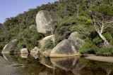 Tidal River, Wilsons Promontory N P