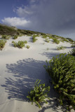 Whisky Beach, Wilsons Promontory N P