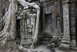 Ta Prohm