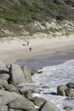 Picnic Beach, Wilsons Promontory N P