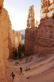Navajo Loop Trail