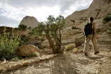 Around Capitol Gorge