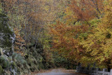 The road to Boca do Inferno