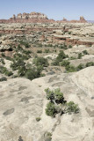 The trail to Chesler Park