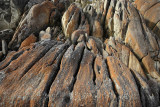 Cape Conran