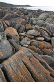 Cape Conran