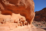 Near Beehives