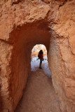 Passage in Queens Garden Trail