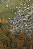 Cantaros area