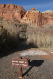 Near Gifford House, Fruita