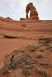 Delicate Arch