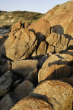 Near the beach at Cape Conran