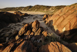 Near the beach at Cape Conran