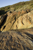 Near the beach at Cape Conran