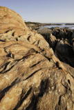 Near the beach at Cape Conran