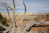 Slickrock Cutoff Trail