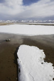 Nam-tso Lake shore