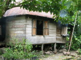 Have Mushrooms - Jungle msuhrooms that is...Daba Toba