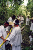 Cortando el Palo Volador