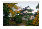 Nijo Castle - Kyoto 1