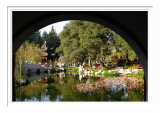 Chinese Garden Pond 1