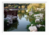 Chinese Garden Pond 2