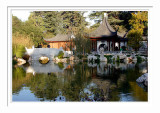 Chinese Garden Pond 3
