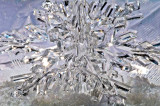 Snowflake in Snow