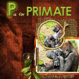 P is for Primate