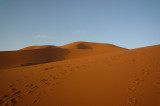 撒哈拉 Sahara