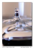 EF 100mm F2.8 L Macro IS USM
