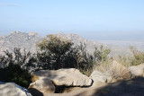 ANOTHER VIEW FROM KITT PEAK FACING THE EAST TOWARD TUCSON