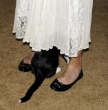 THE HOME MADE APPLE PIE WAS OUT OF THIS WORLD AND KRINGLES NEW KITTY, MINNIE DID GET A LITTLE PERSONAL-LOVED SARAS DRESS