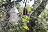 THIS CERAMIC BIRD HOUSE HUNG IN OUR KITCHEN AT RAVENOAKS FOR YEARS