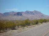 BIRDING IN BIG BEND