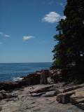 OUR FINAL RESTING PLACE-ACADIA NATIONAL PARK