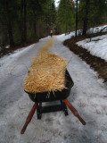 hay covered trail