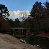 NATO BRIDGE