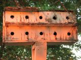 17 JUL 06 SUNSET SLUM