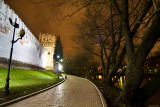 Novodevichy Monastery