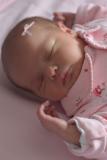 pretty in pink