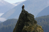 Whale watching with Orca Enterprises in Juneau, AK