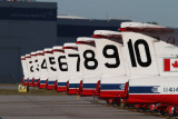 Canadian Snowbirds