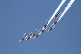 Canadian Snowbirds