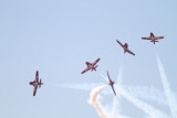 Canadian Snowbirds